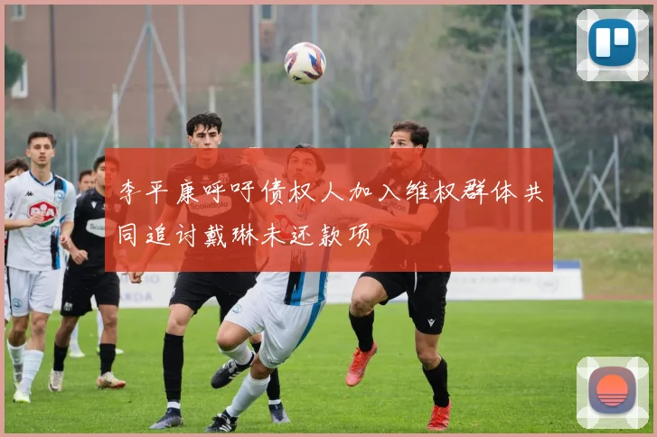 李平康呼吁债权人加入维权群体共同追讨戴琳未还款项